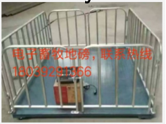 心连心衡器图3