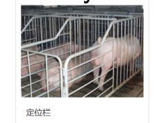 粪污处理图3