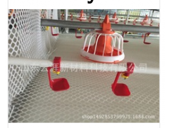 肉鸡笼养设备图1