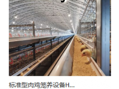 鑫光正图1