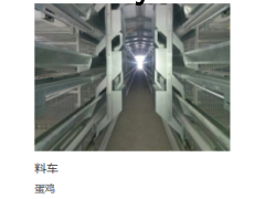 鑫光正图2
