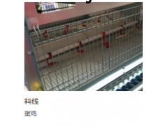 鑫光正图3