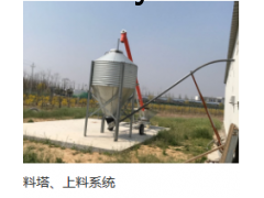 鑫光正图1