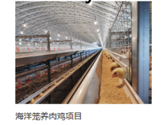 鑫光正图1