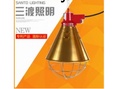 保温灯图1