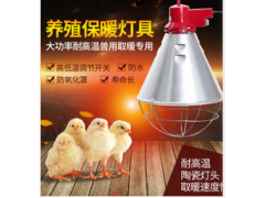 保温灯图1