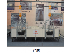 母猪产床图2