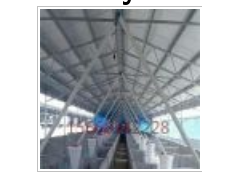 利康图3