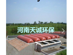 天成图1