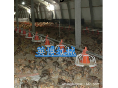喂料设备图1