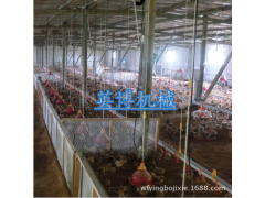 喂料设备图3