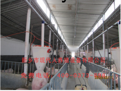 育肥猪用自动喂料系统图1