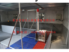 育肥猪用自动喂料系统图2