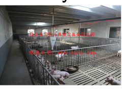 育肥猪用自动喂料系统图3