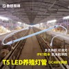 养鸡场照明led灯管t5防水低压48V调光禽舍场led养殖灯