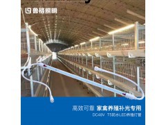 养鸡场照明led灯管t5防水低压48V调光禽舍场led养殖灯图2