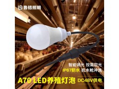 养殖场专用led灯泡养鸡场蛋鸡舍调光控制48v防水球泡灯图1