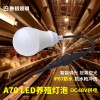 养殖场专用led灯泡养鸡场蛋鸡舍调光控制48v防水球泡灯