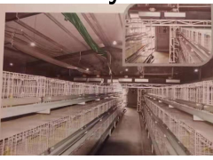 龙门式上料机图1