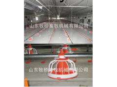 平养肉鸡设备图1