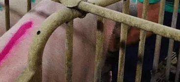 微信截图_20200118165733