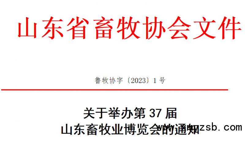 2023山东会